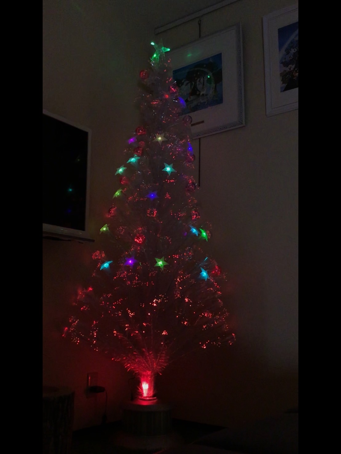 クリスマスが今年もやってくる♪♪